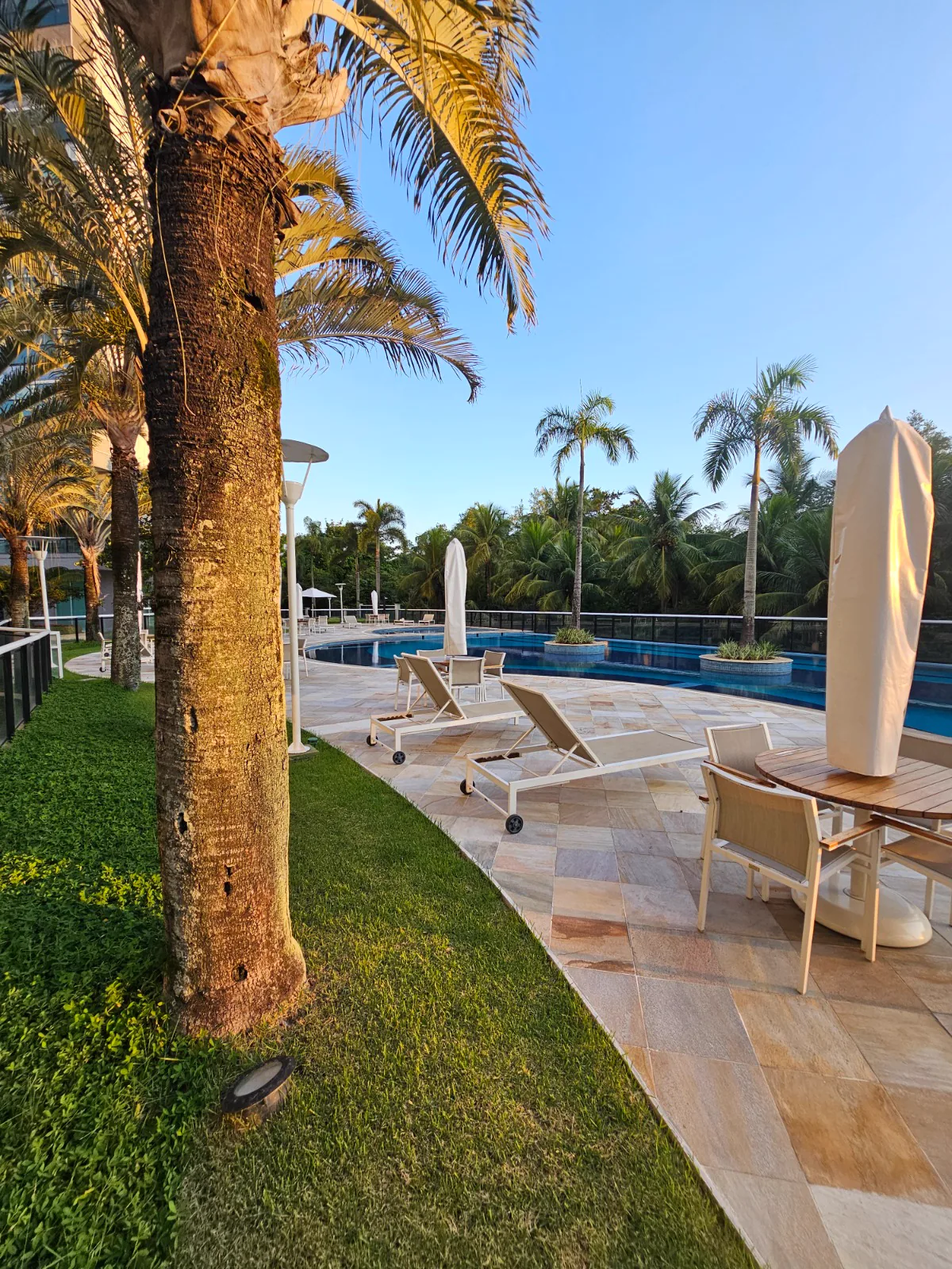 Deck da piscina com espreguiçadeiras e jardim tropical